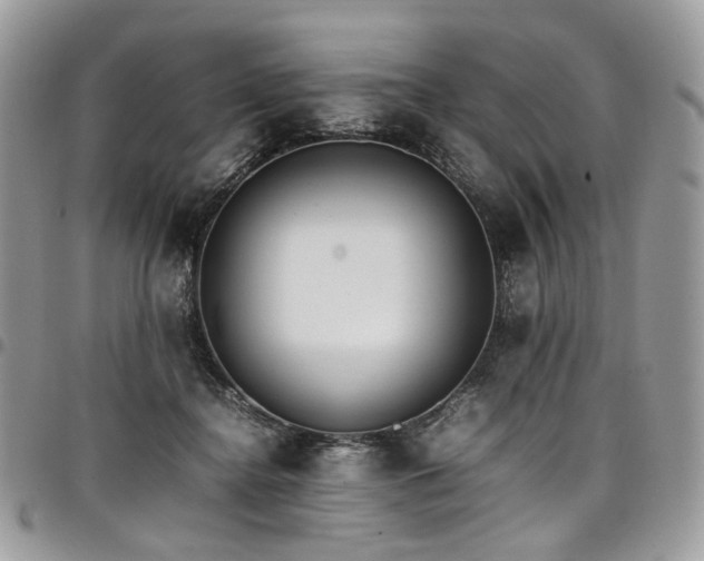 X0000098020364200803281339