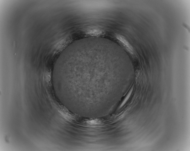 X0000098020365200803281339