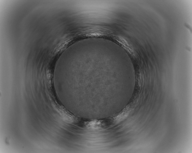 X0000098020366200803281339