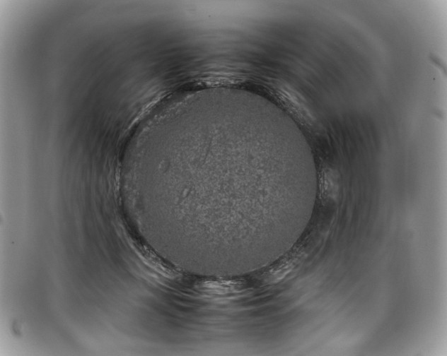 X0000098020367200803281339