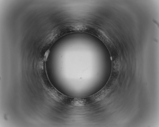 X0000098020368200803281339