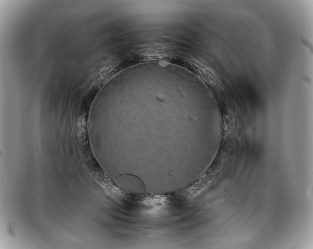 X0000098020369200803281339