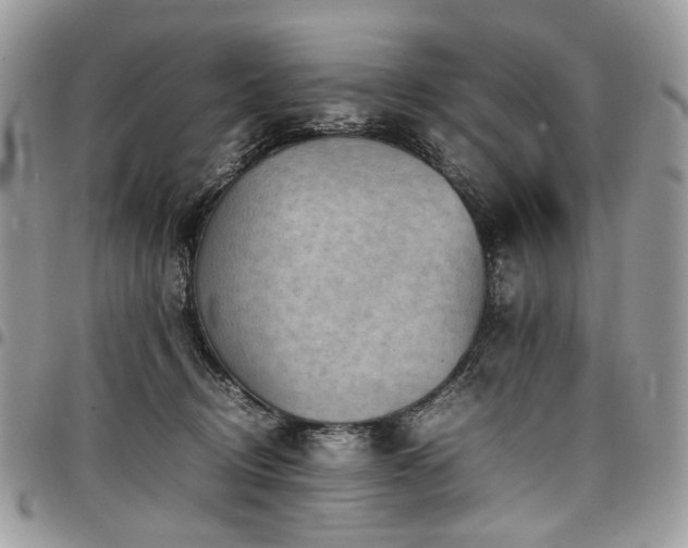 X0000098020370200803281339