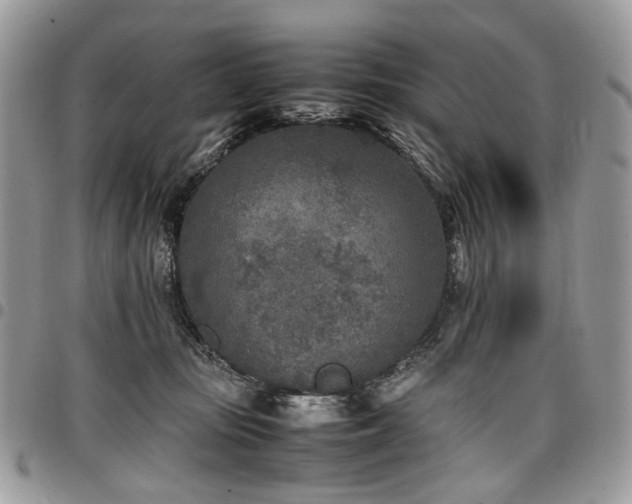 X0000098020371200803281339