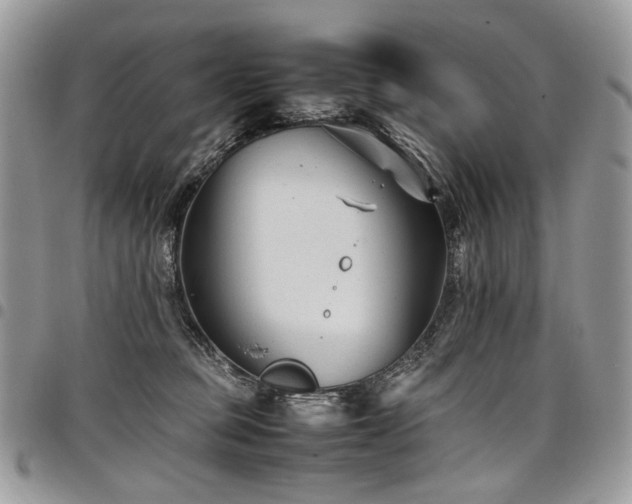 X0000098020373200803281339