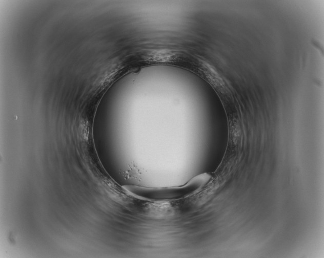 X0000098020374200803281339