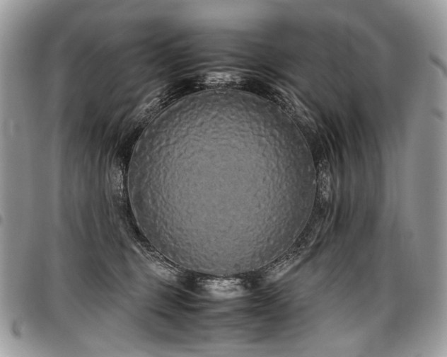 X0000098020375200803281339