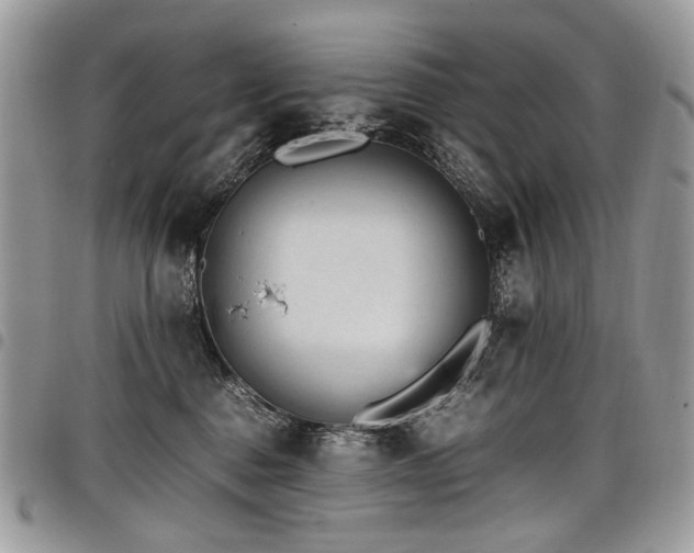 X0000098020376200803281339