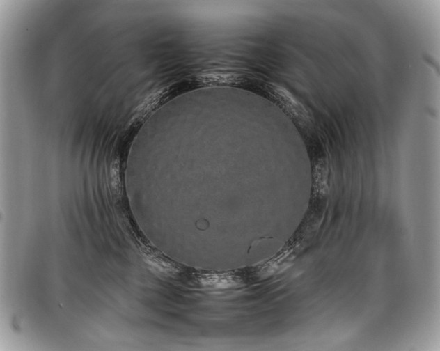 X0000098020377200803281339