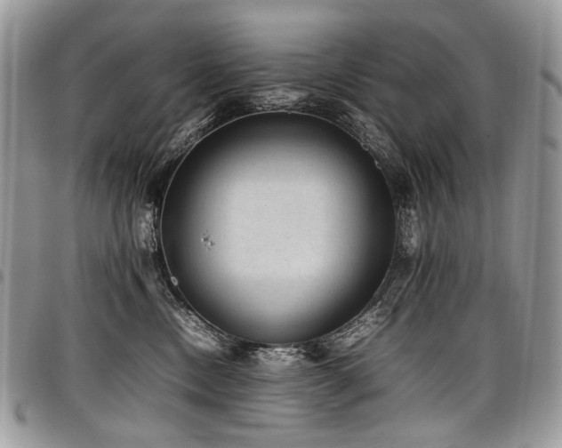 X0000098020378200803281339