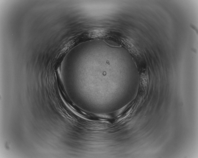 X0000098020380200803281339