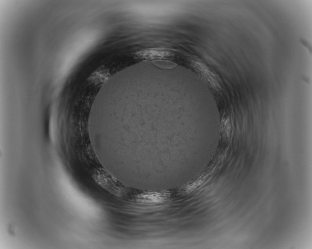 X0000098020381200803281339