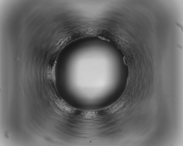 X0000098020384200803281339