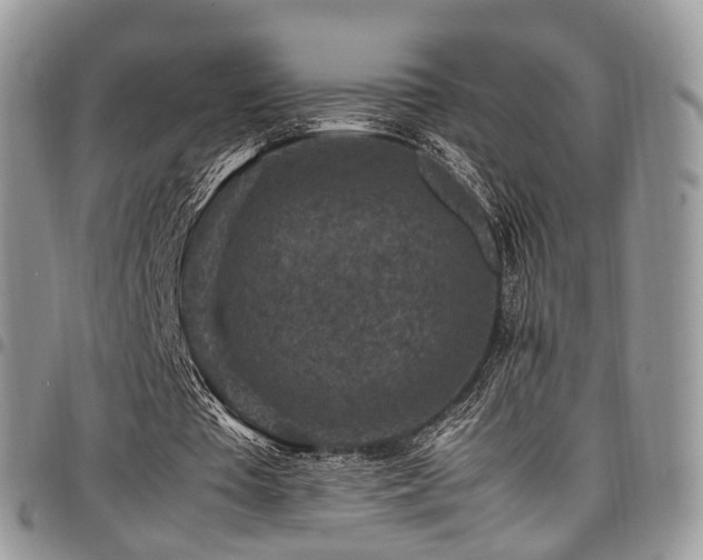 X0000098020385200803281339