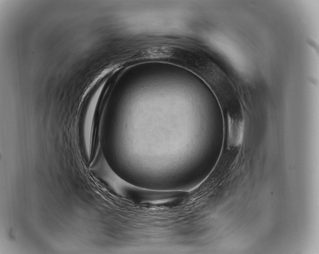 X0000098020387200803281339