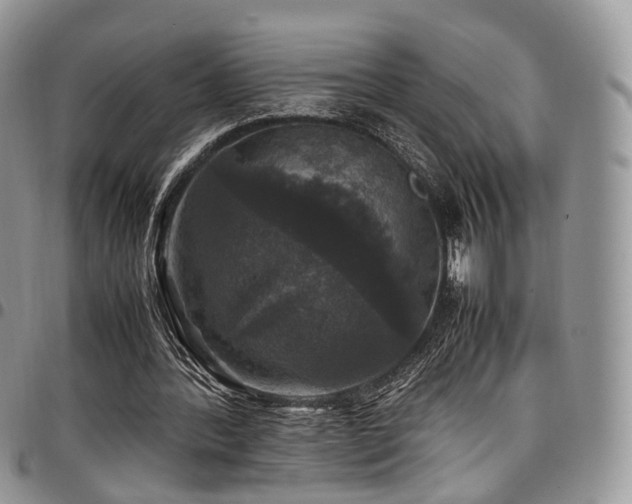 X0000098020388200803281339