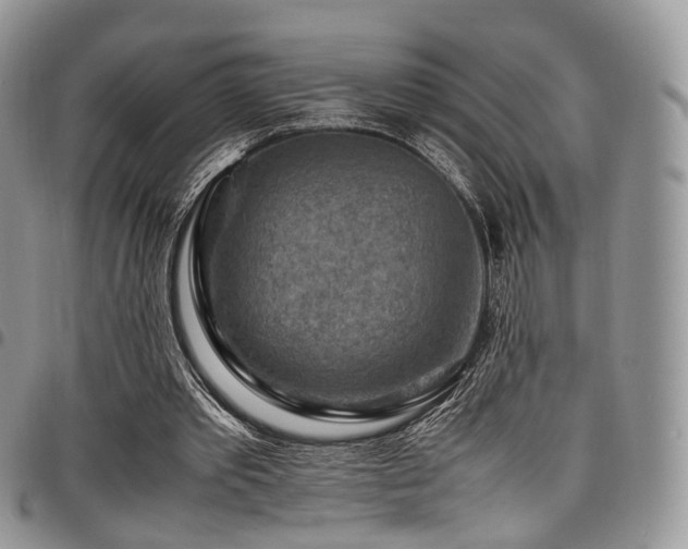 X0000098020389200803281339