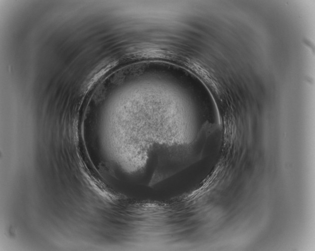 X0000098020390200803281339