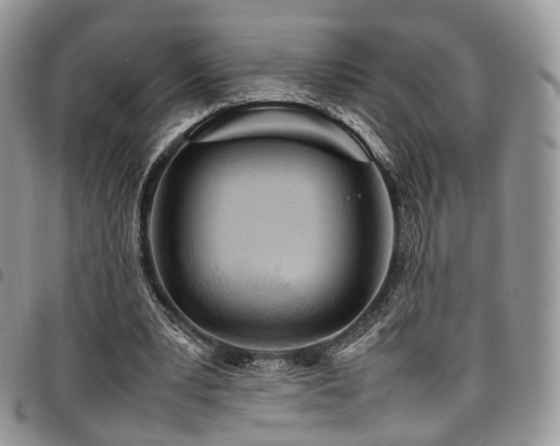 X0000098020391200803281339