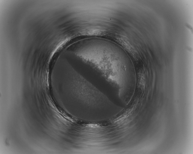 X0000098020392200803281339