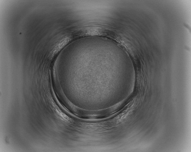 X0000098020393200803281339