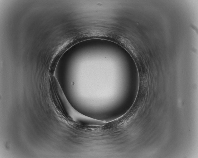 X0000098020395200803281339