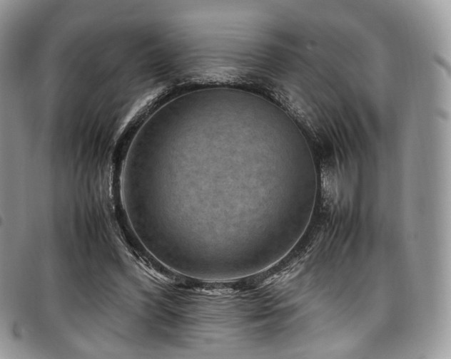 X0000098020396200803281339