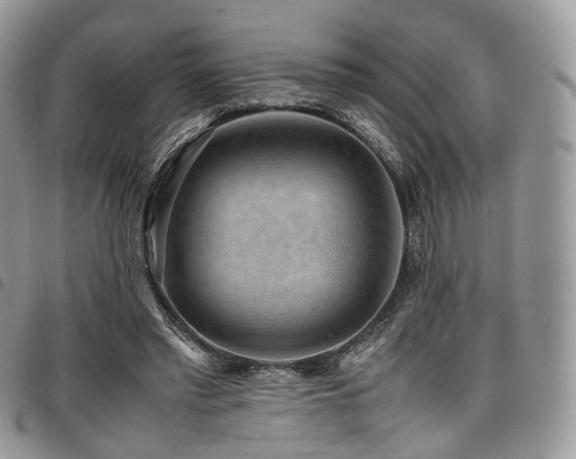 X0000098020397200803281339