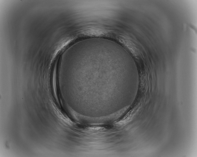 X0000098020399200803281339