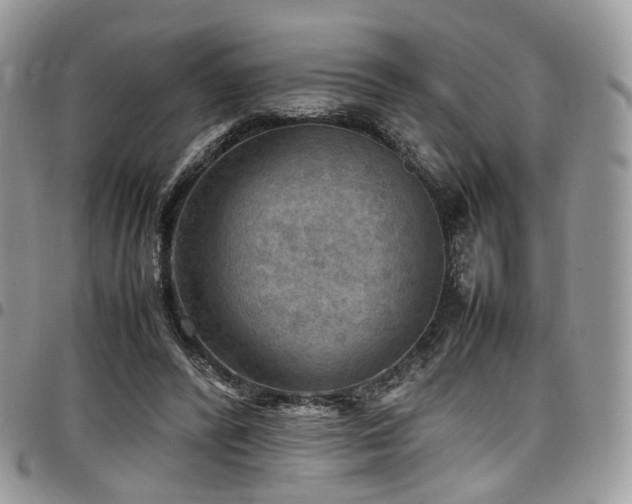 X0000098020400200803281339