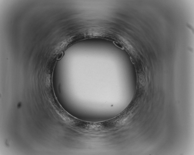 X0000098020401200803281338