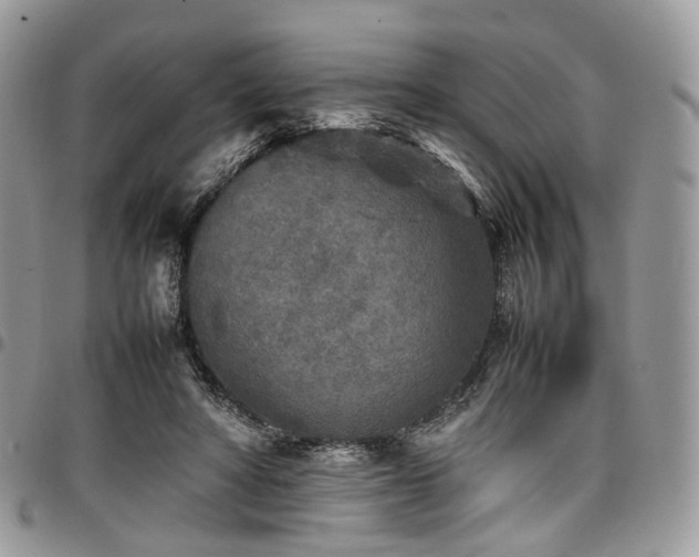 X0000098020402200803281338