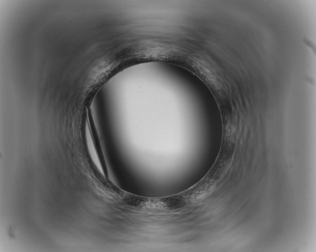 X0000098020403200803281338