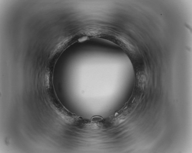 X0000098020404200803281338