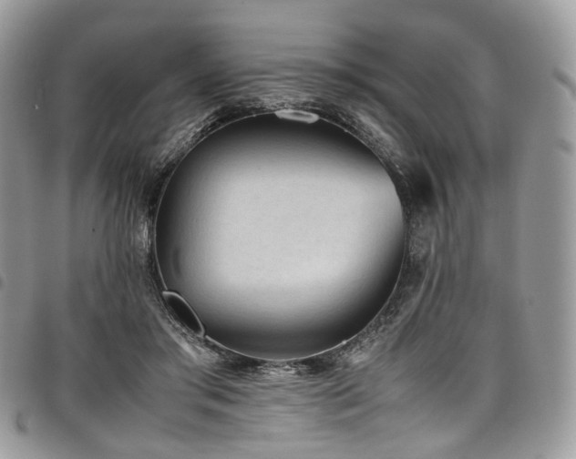 X0000098020405200803281338