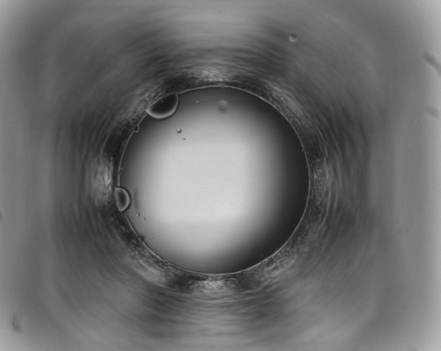 X0000098020406200803281338