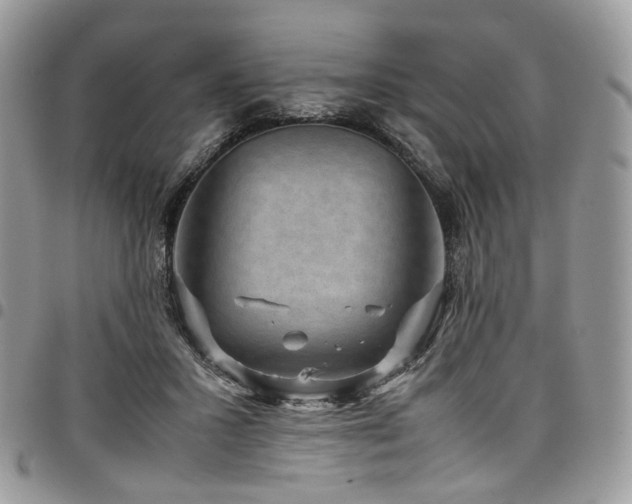 X0000098020407200803281338