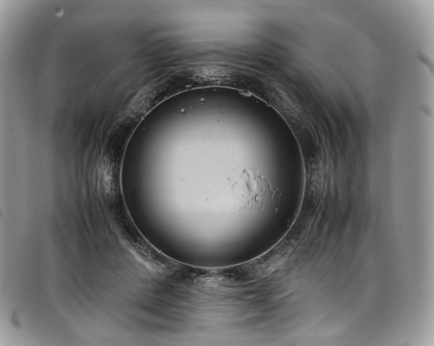 X0000098020408200803281338