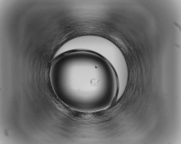 X0000098020409200803281338