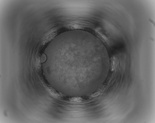 X0000098020410200803281338