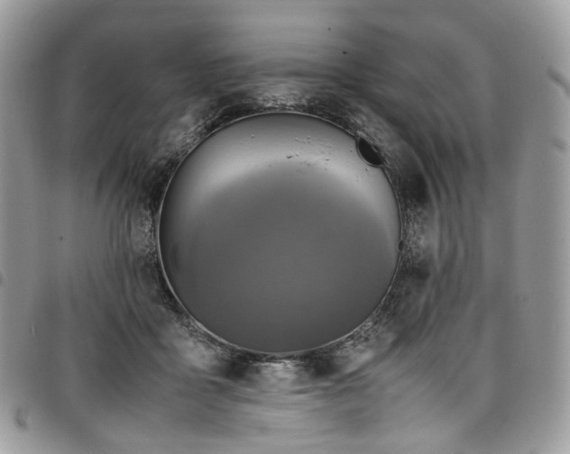 X0000098020411200803281338