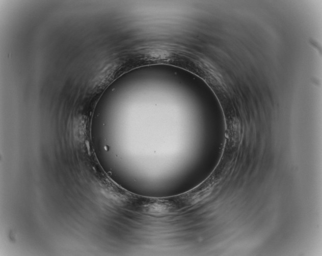 X0000098020412200803281338