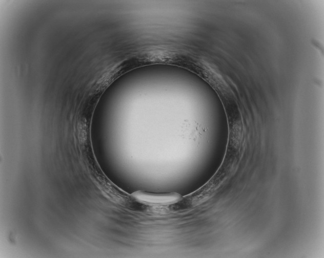 X0000098020413200803281338