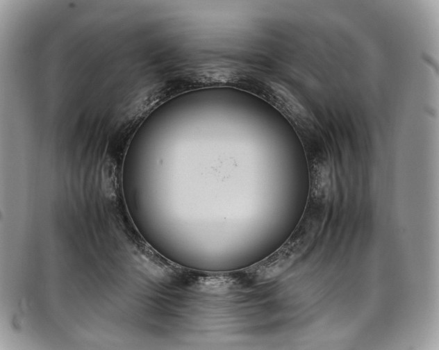 X0000098020414200803281338