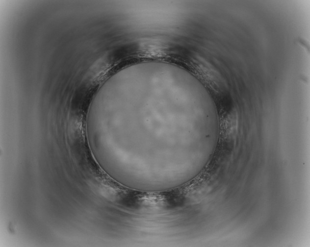 X0000098020415200803281338