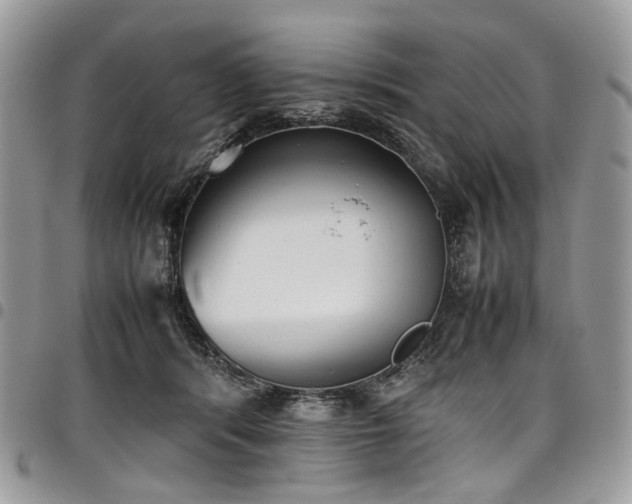 X0000098020416200803281338