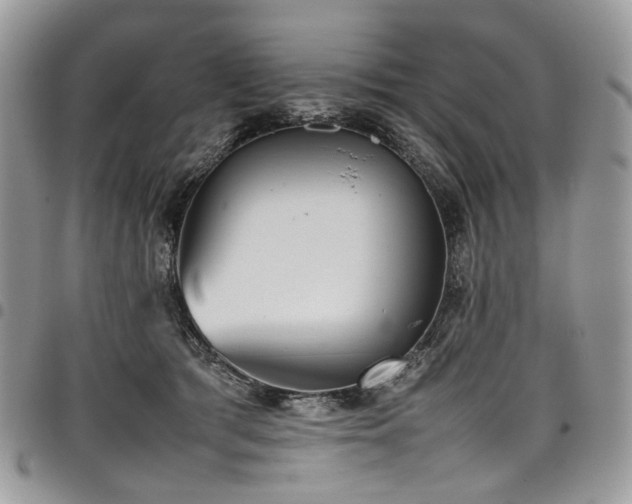 X0000098020417200803281338