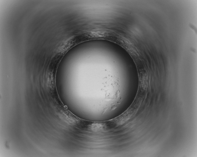 X0000098020418200803281338