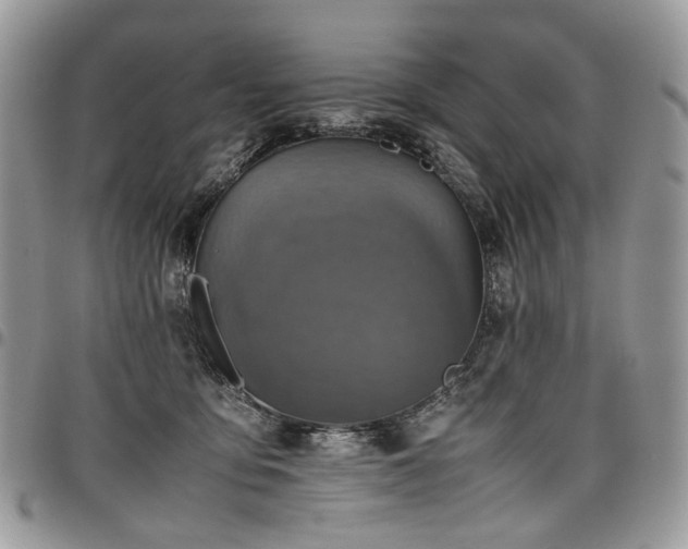 X0000098020419200803281338