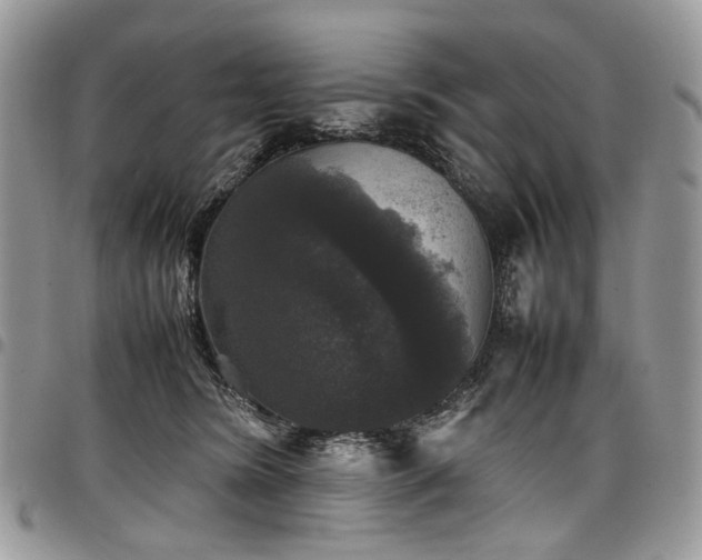 X0000098020420200803281338